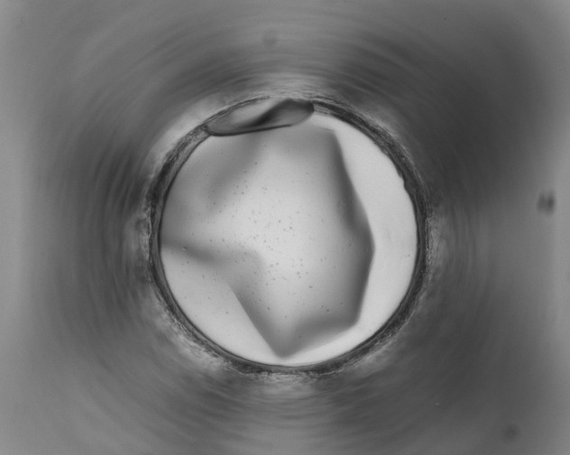 X0000111631114200908141336