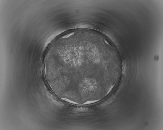 X0000111631117200908141336