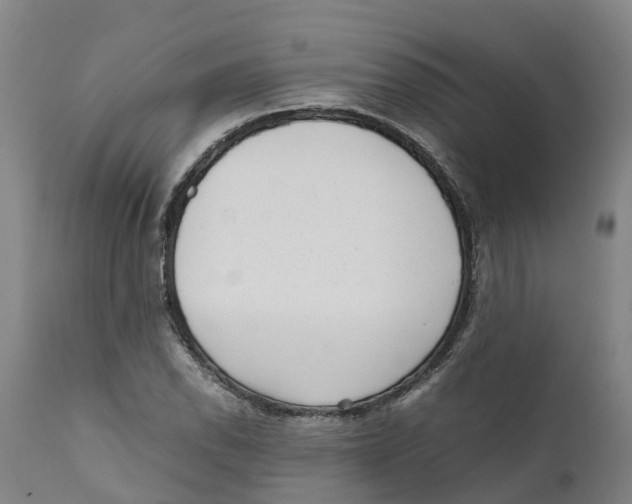 X0000111631118200908141336