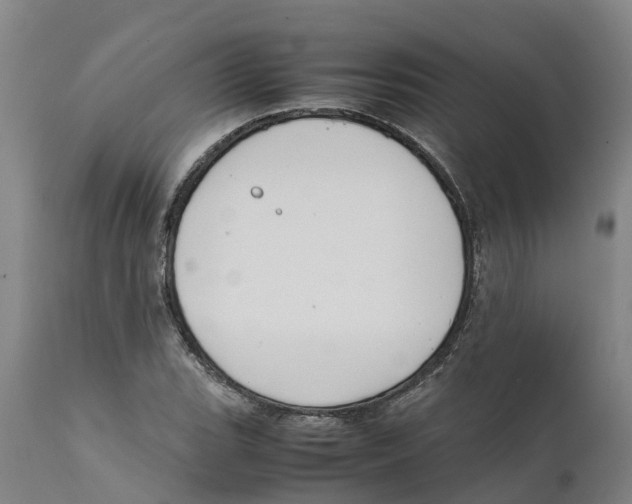 X0000111631119200908141336