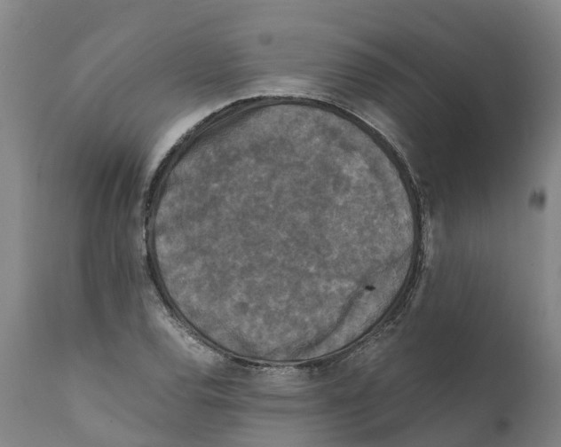 X0000111631120200908141336