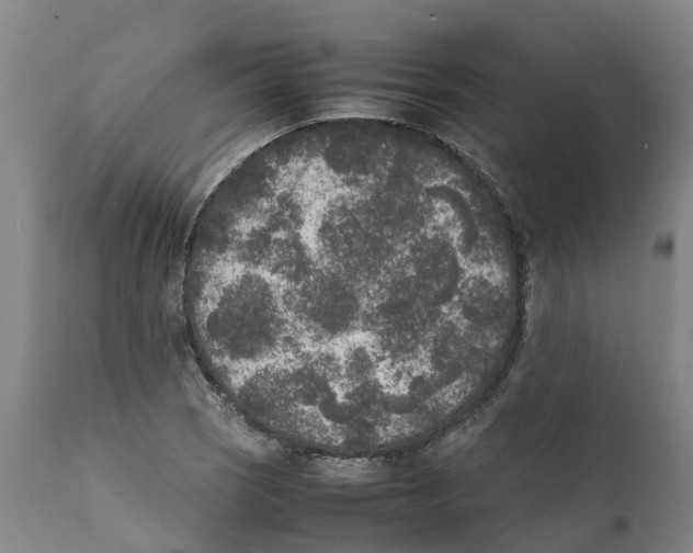 X0000111631121200908141336