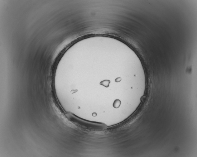 X0000111631122200908141336