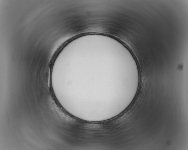 X0000111631123200908141336