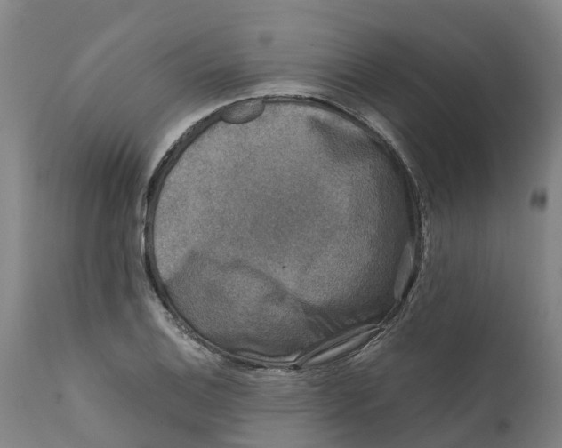 X0000111631124200908141336