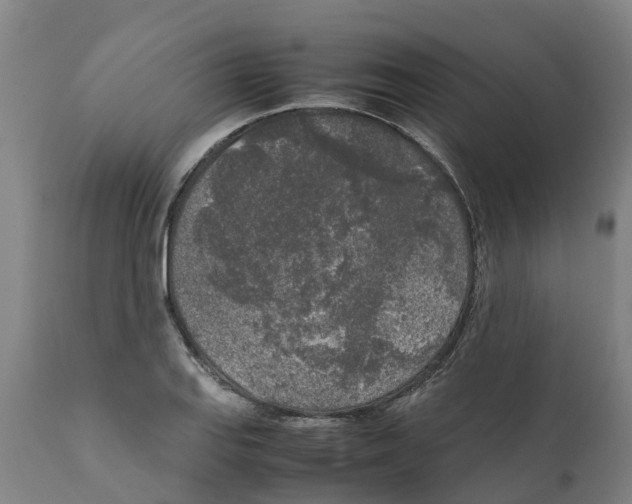 X0000111631127200908141336
