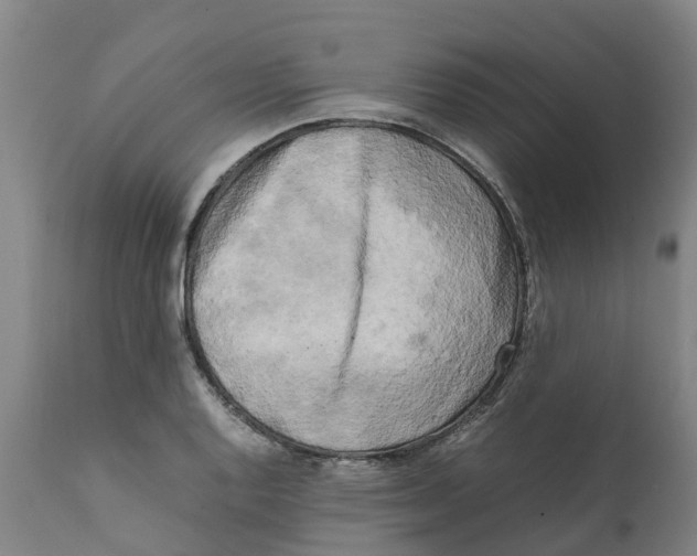 X0000111631128200908141336