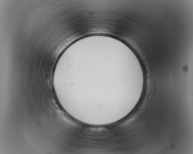 X0000111631129200908141336