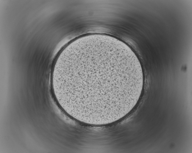X0000111631130200908141336