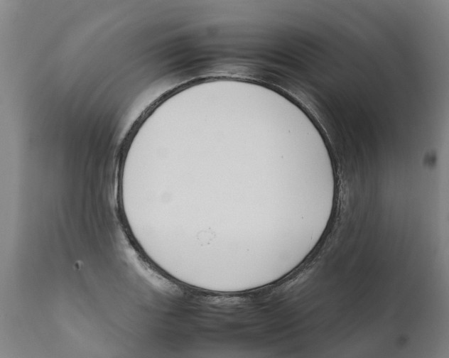 X0000111631131200908141336