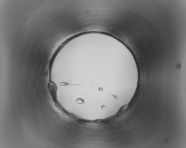 X0000111631132200908141336