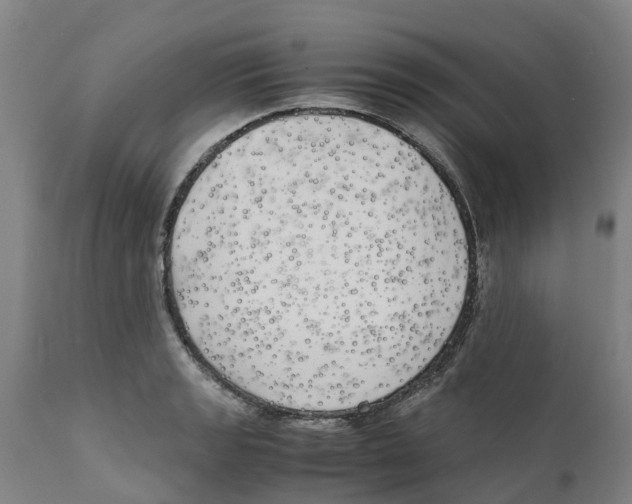 X0000111631133200908141336
