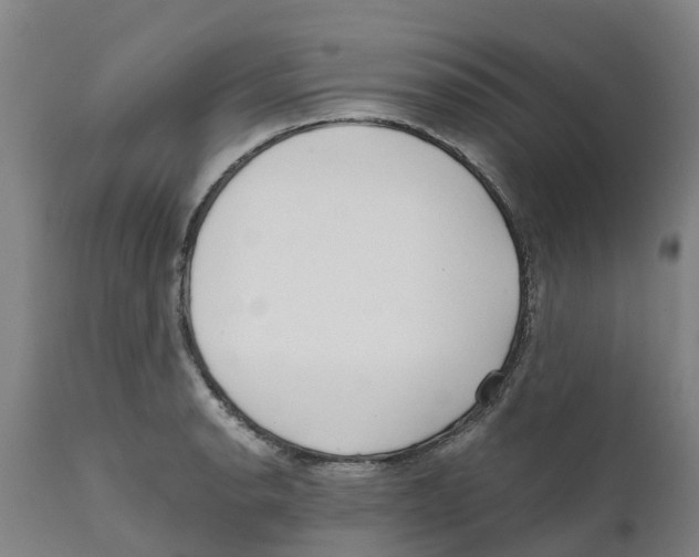 X0000111631134200908141336