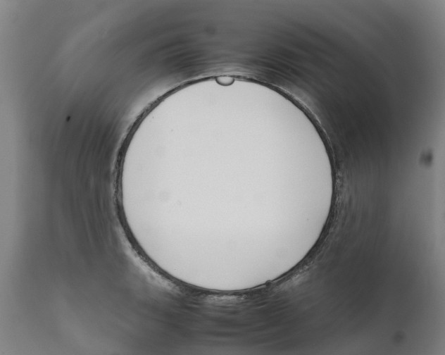 X0000111631135200908141336