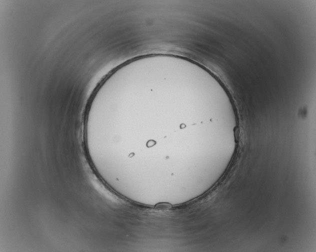 X0000111631136200908141336