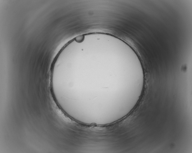 X0000111631140200908141337