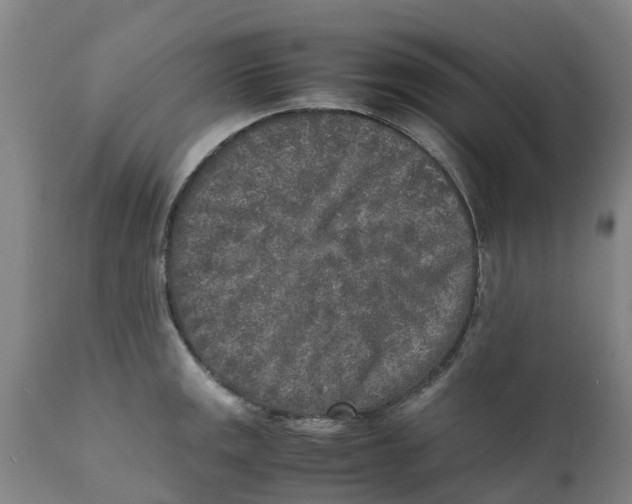 X0000111631141200908141337