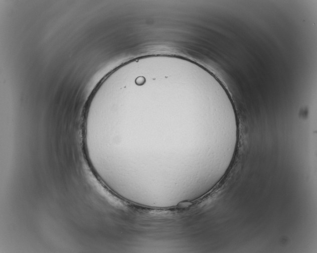 X0000111631142200908141337