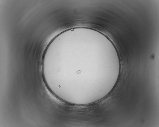 X0000111631143200908141337