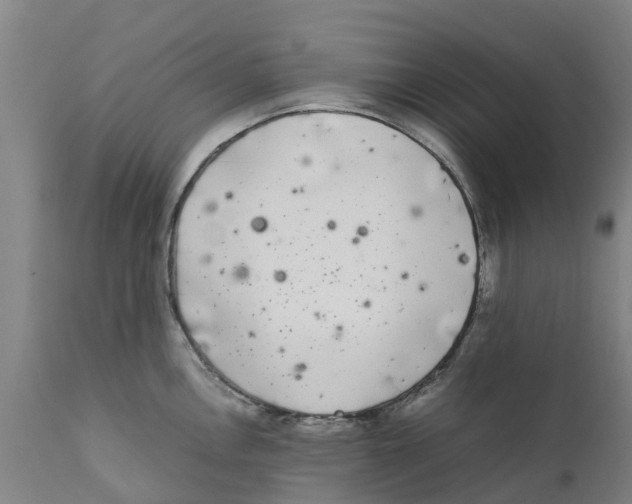 X0000111631146200908141337