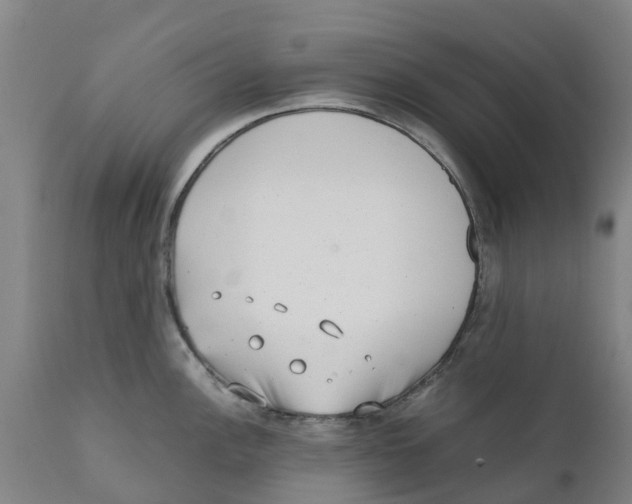 X0000111631148200908141337