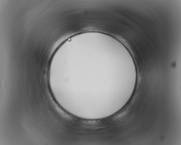 X0000111631149200908141337