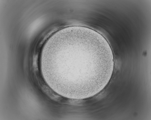 X0000111631150200908141337