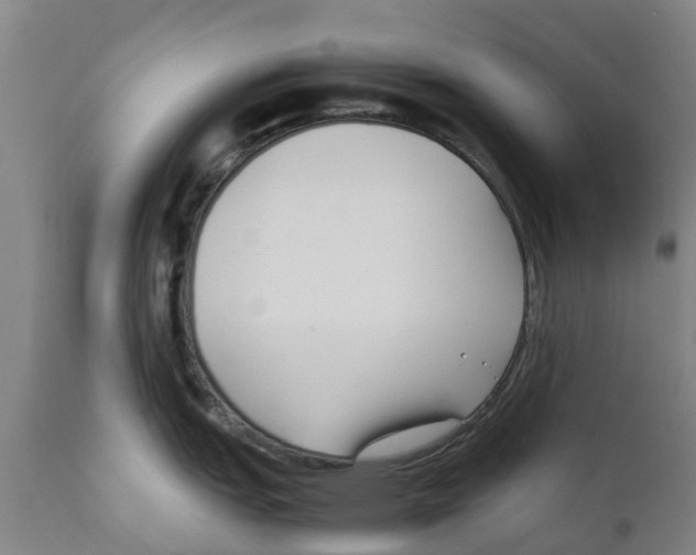 X0000111631151200908141337