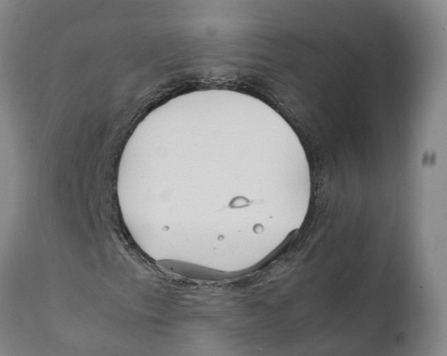 X0000111631153200908141336