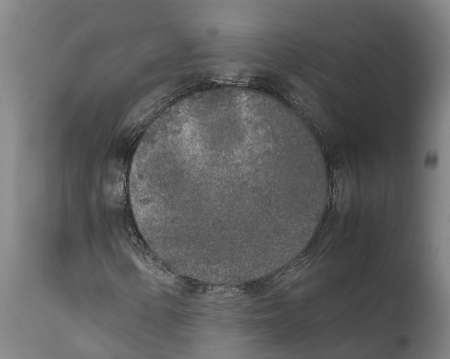 X0000111631154200908141336