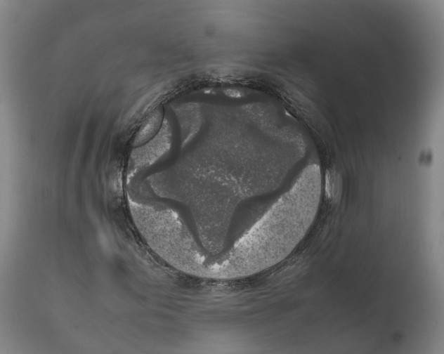 X0000111631155200908141336