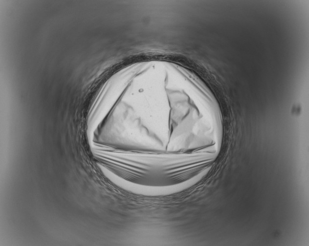 X0000111631157200908141336