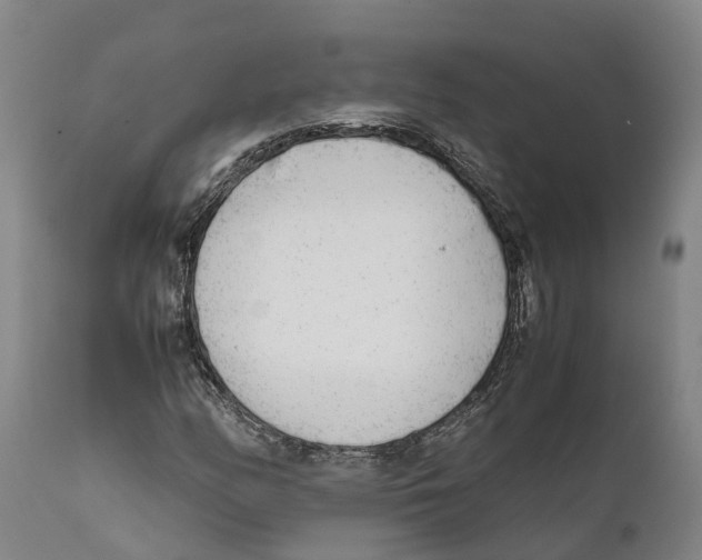 X0000111631158200908141336
