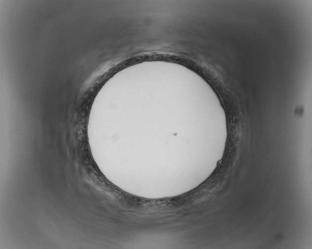 X0000111631159200908141336