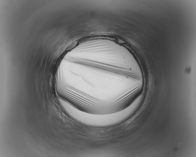 X0000111631161200908141336