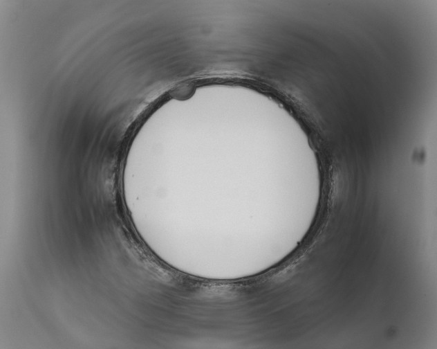 X0000111631162200908141336