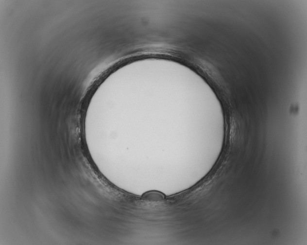 X0000111631164200908141336
