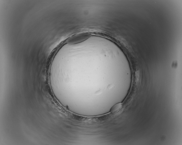 X0000111631165200908141336