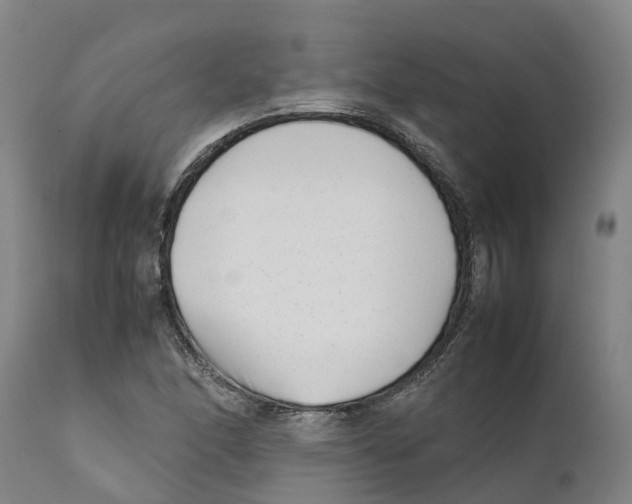 X0000111631166200908141336