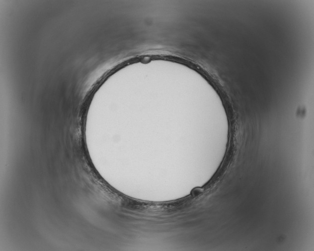 X0000111631167200908141336