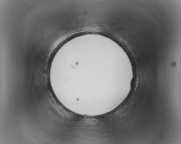 X0000111631168200908141336