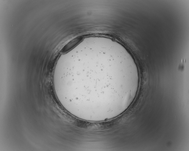 X0000111631169200908141336