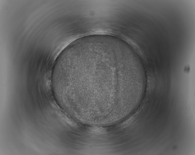 X0000111631170200908141336