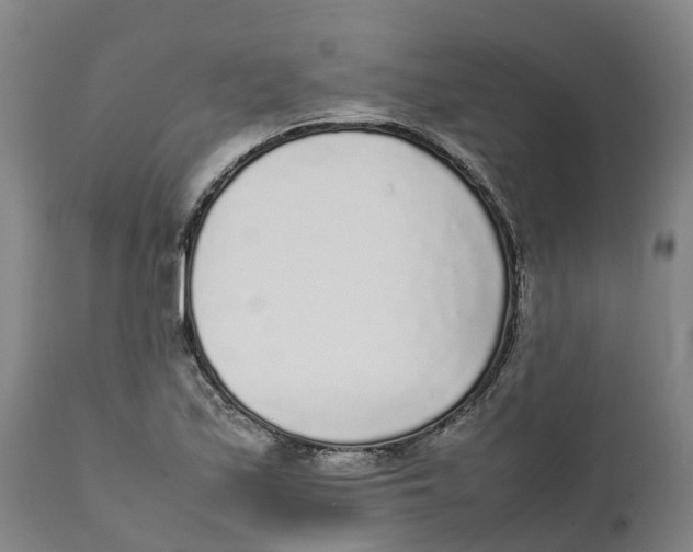 X0000111631171200908141336