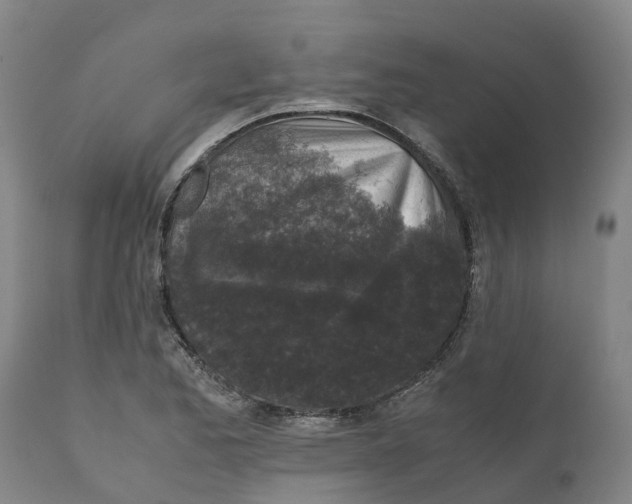 X0000111631173200908141336