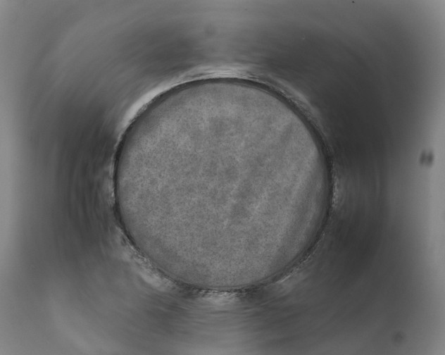 X0000111631174200908141336