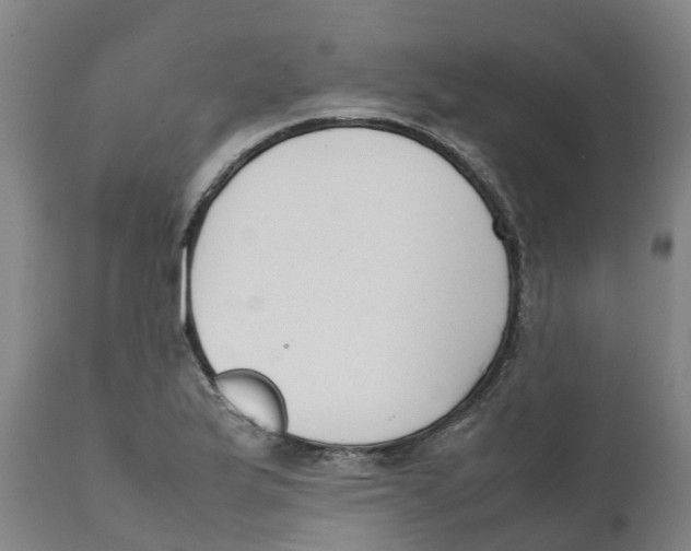 X0000111631175200908141336