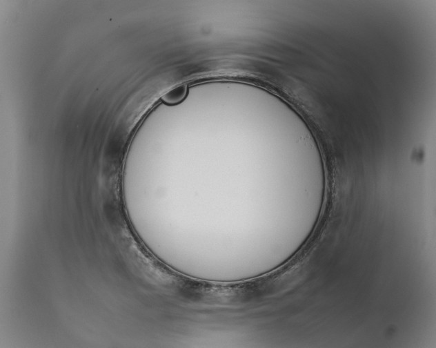 X0000111631177200908141335