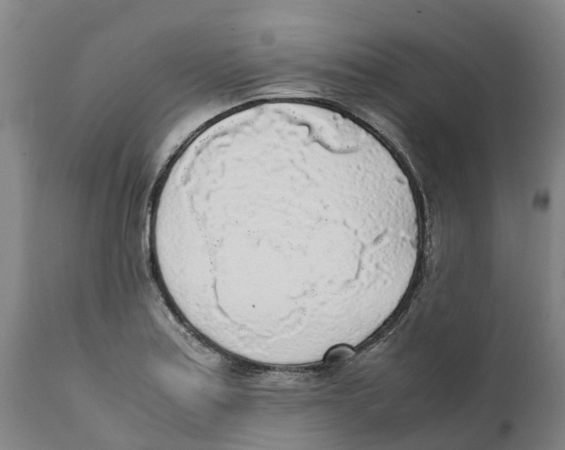 X0000111631179200908141335