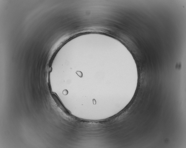 X0000111631180200908141335